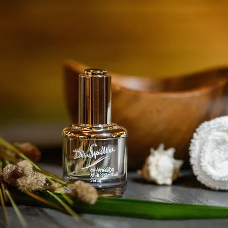 Tauroa G'schloessl Murtal Großlobming